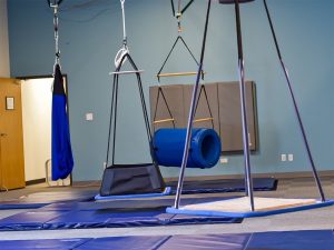 Sensory Gym Swings